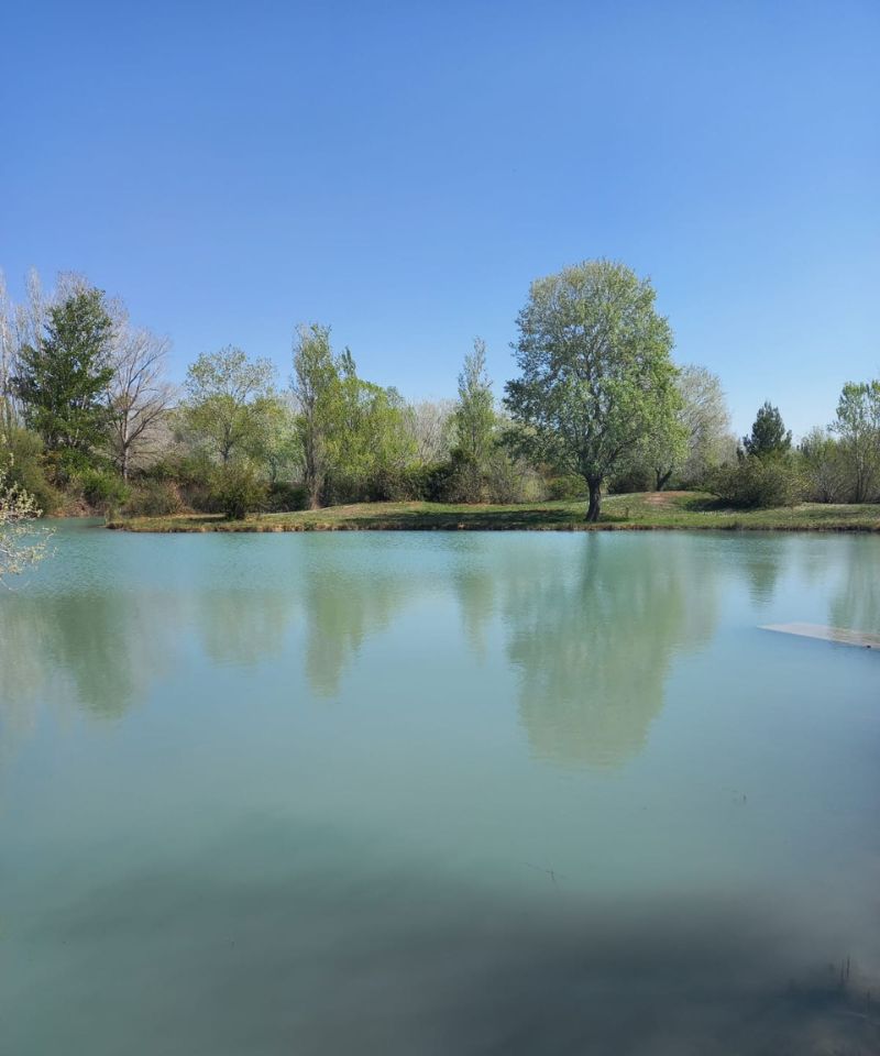 Vue des étangs de la Guinguette Arlésienne