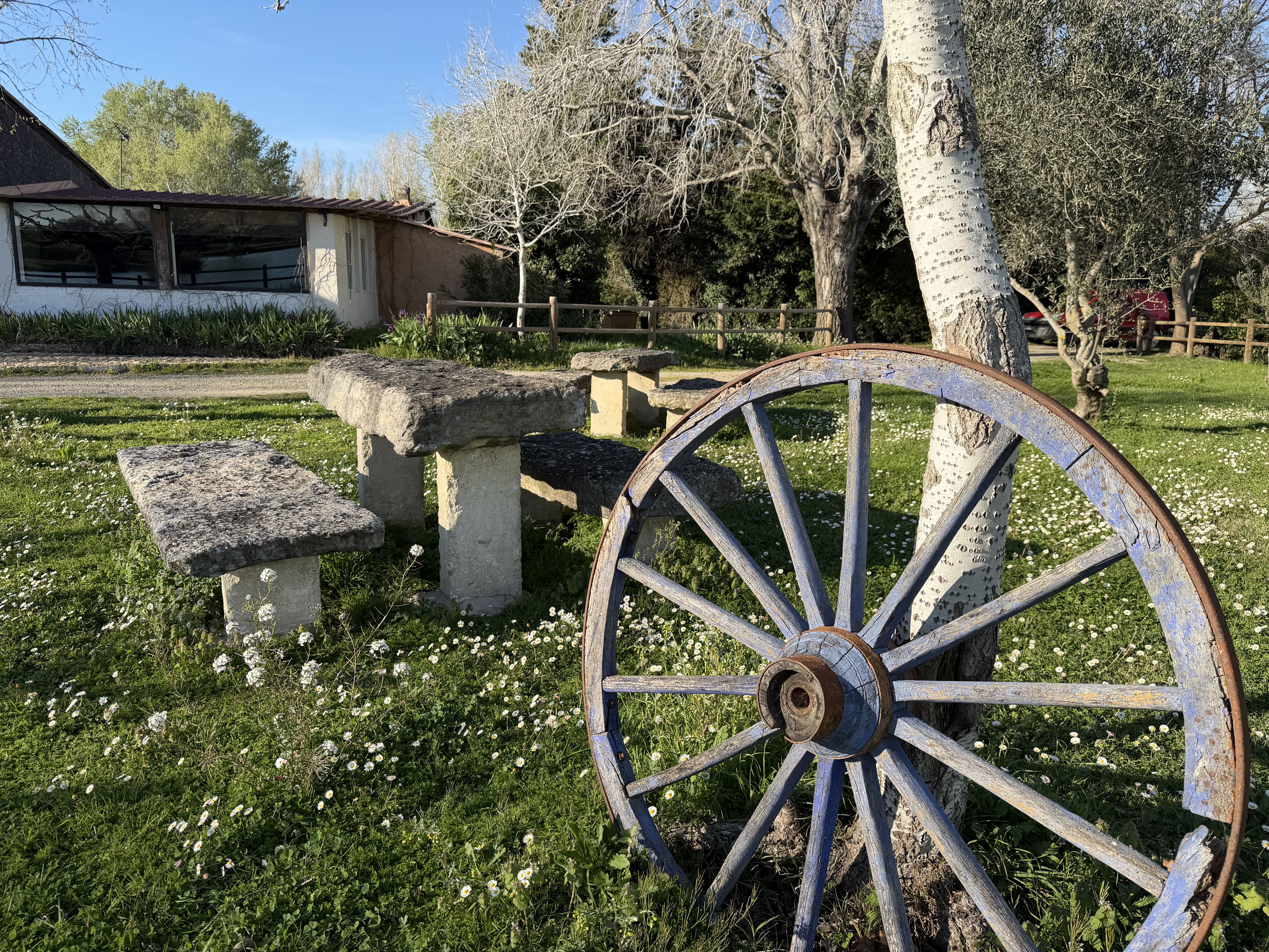 Décoration provençale authentique – Roue de charrette et tables en pierre à La Guinguette Arlésienne, Arles