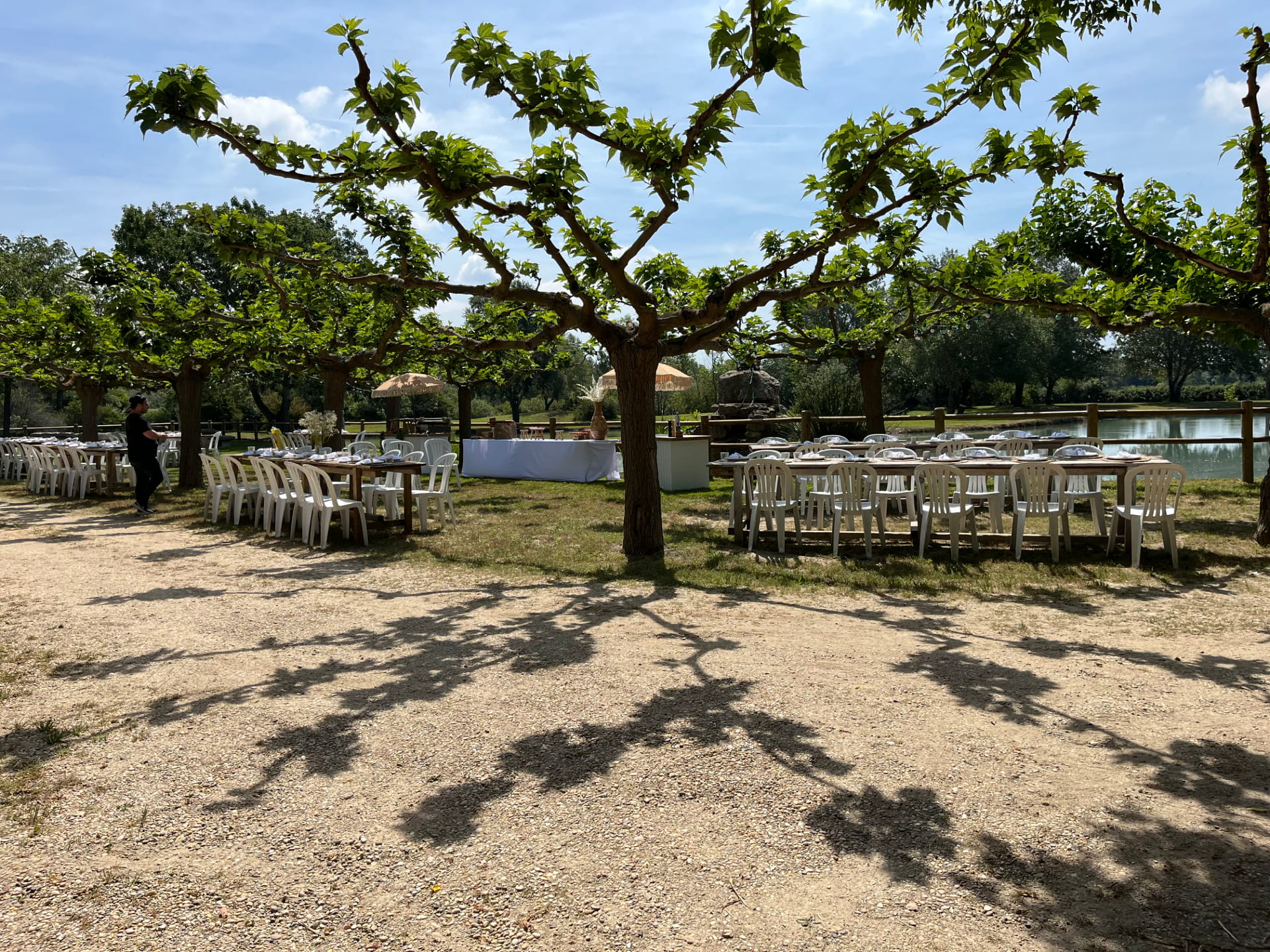 Grandes tablées en extérieur sous les platanes – Repas de groupe à La Guinguette Arlésienne, Arles