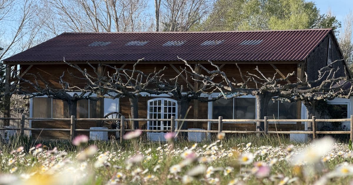 Façade de La Guinguette Arlésienne – Mas camarguais en bois sous les platanes, Arles
